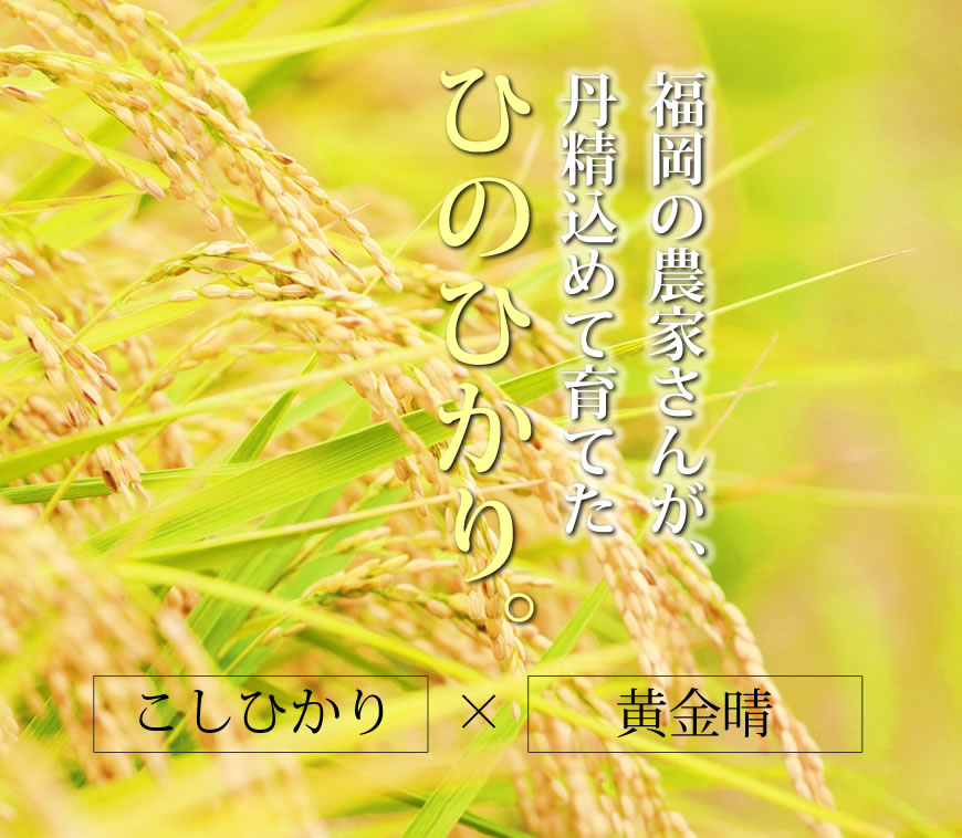 彣Τ 6ǯ ʡ̵ƤҤΤҤ [αԸ / ]