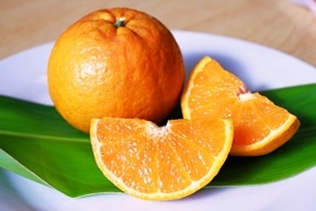 お届け期間 2026年2月上旬～ 大和村の「たんかん」