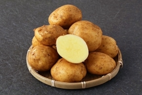 お届け期間 2026年2月上旬～ 徳之島 赤土新ばれいしょ「春一番」