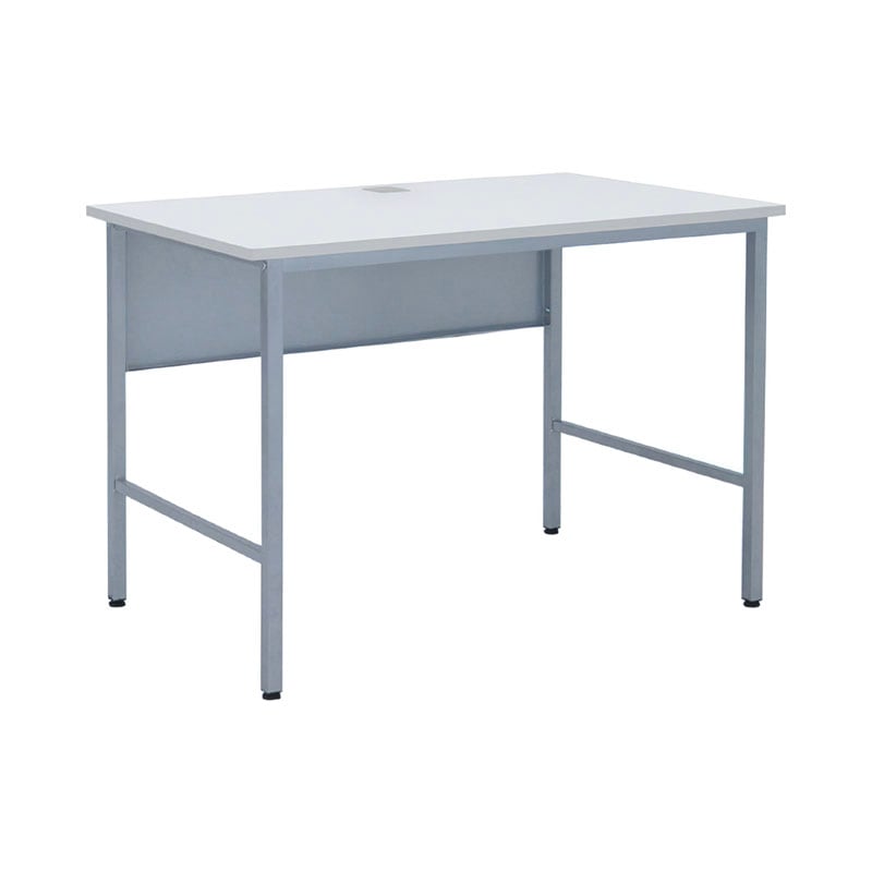 ワークデスク（W1000×D600×H700）NDW-1006