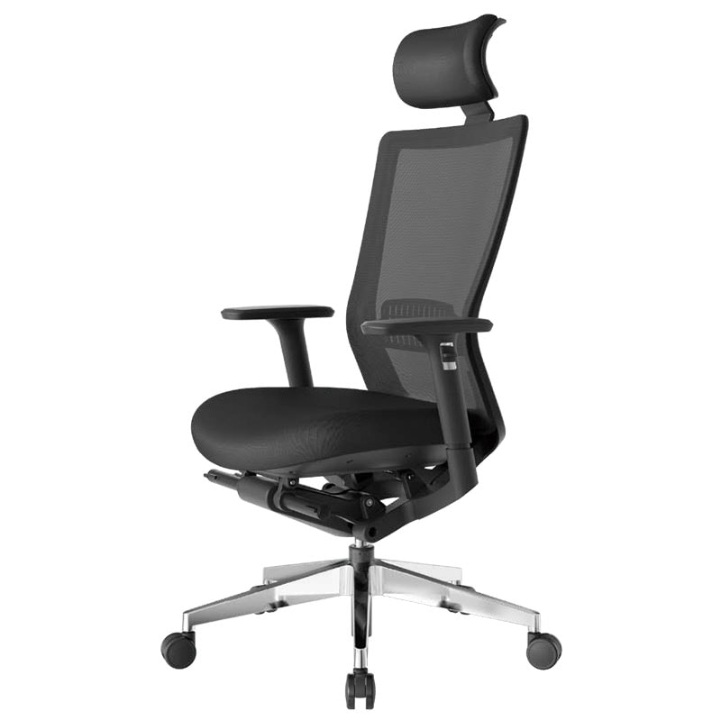 ハイバック肘付きタイプ アルミ脚タイプ RS-5775（F10）