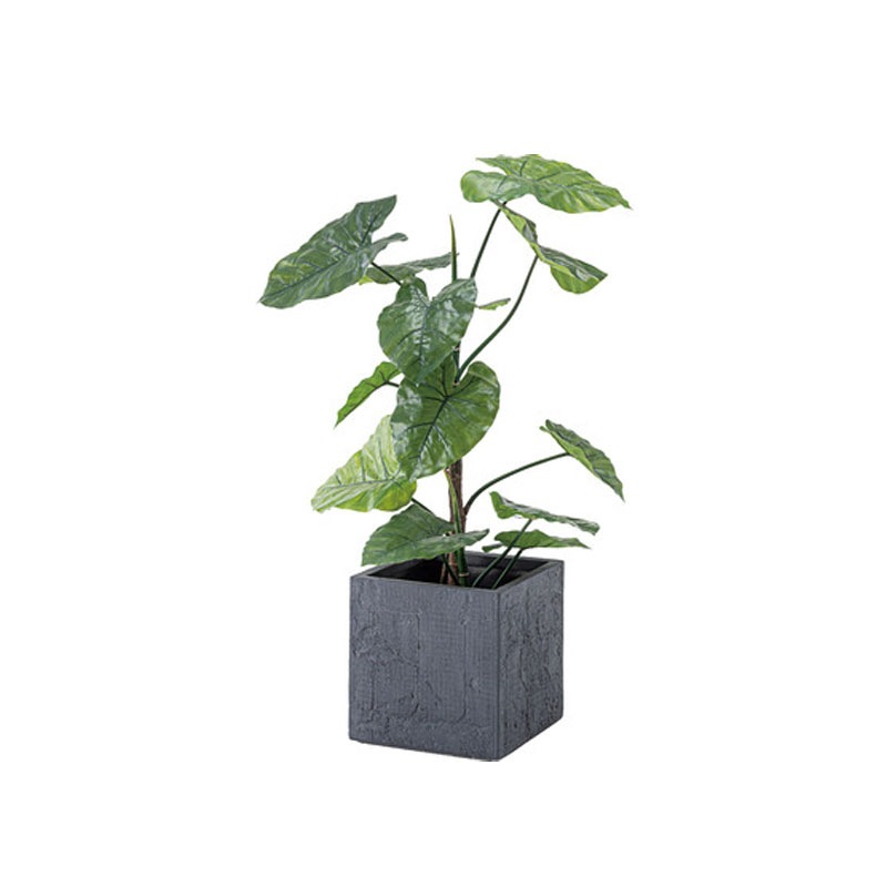 グリーンベース GRNB-209