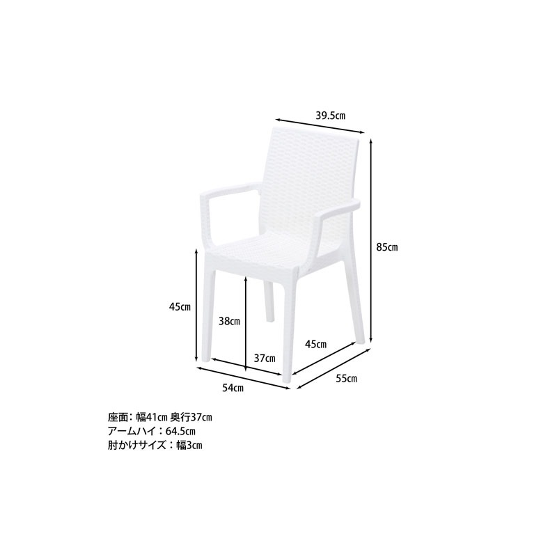 【個人宅配送非対応】ステラ チェアー （肘付） ホワイト[セット数:2pcs]   C/D:12516