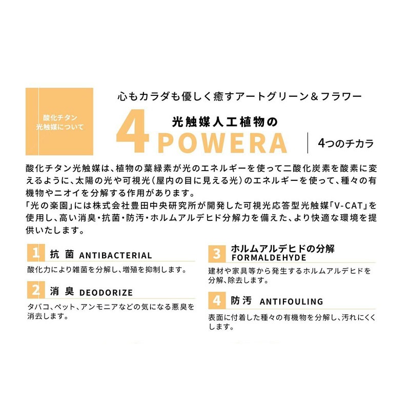 ウッドボックスDX　G-WBDX