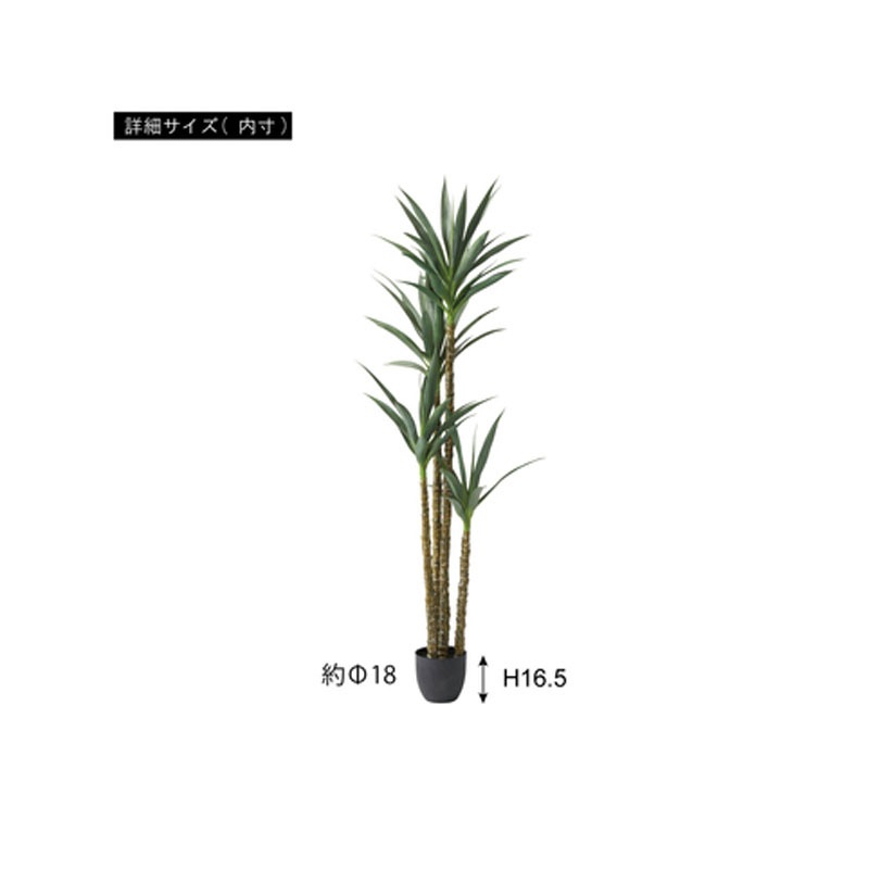 フェイクグリーン アガベ GRN-18