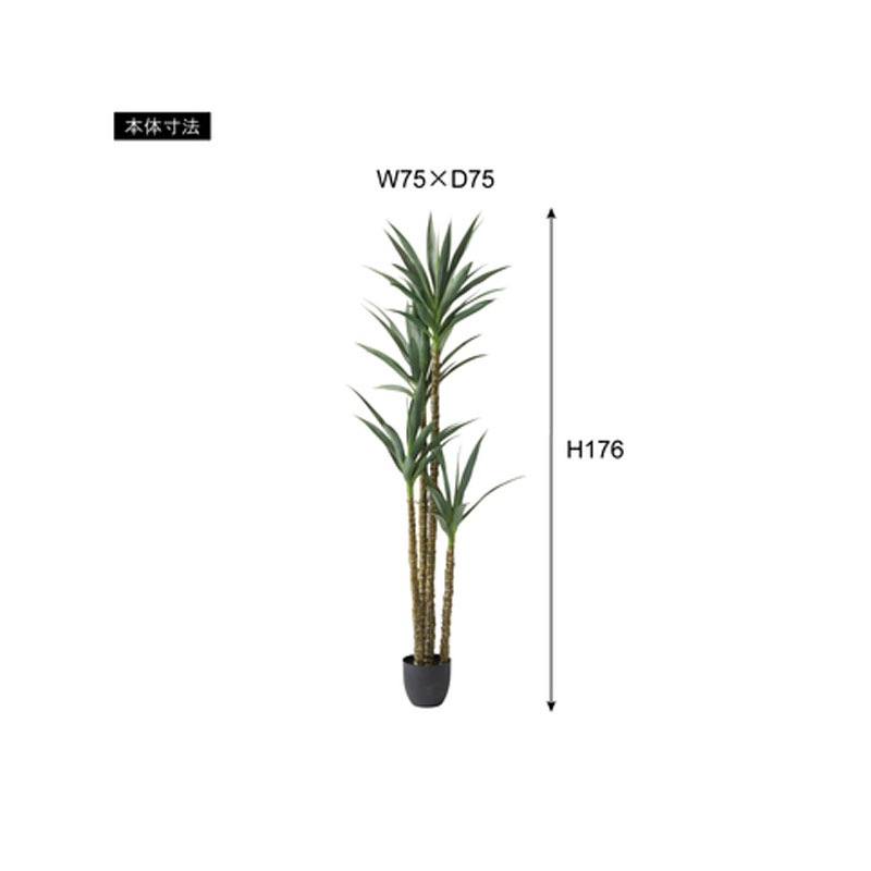 フェイクグリーン アガベ GRN-18