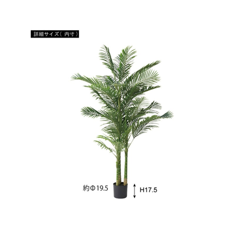 フェイクグリーン アレカヤシ GRN-19