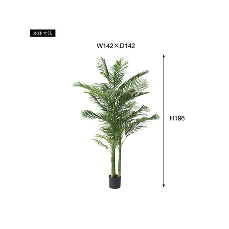 フェイクグリーン アレカヤシ GRN-19