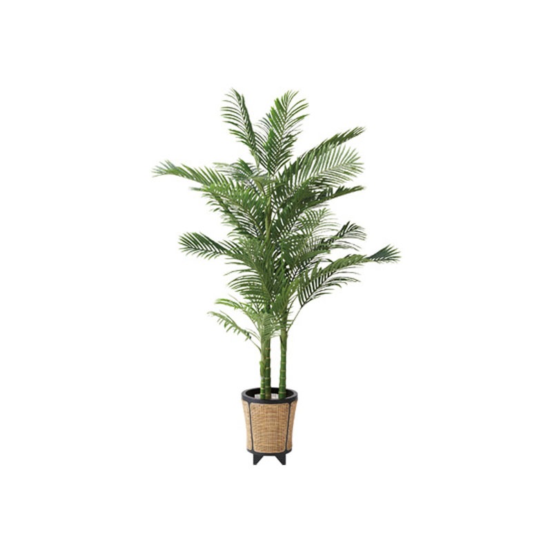 フェイクグリーン アレカヤシ GRN-19