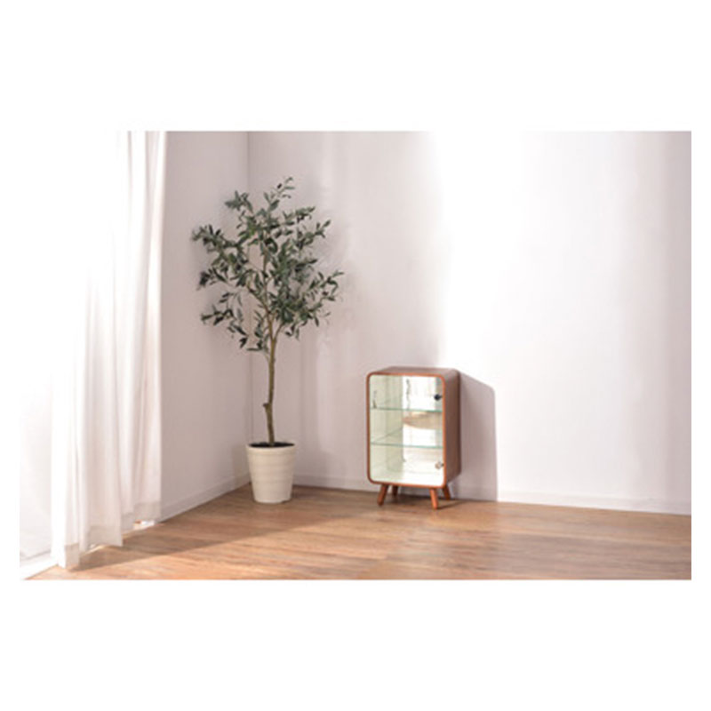 コレクションシェルフS PT-611