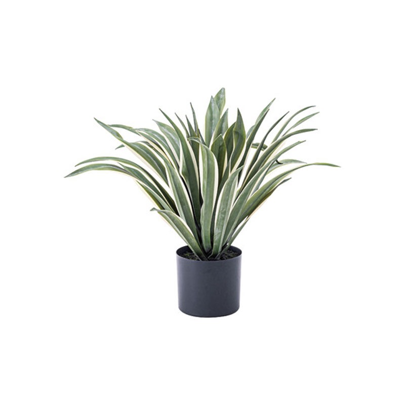 フェイクグリーン アガベ GRN-13