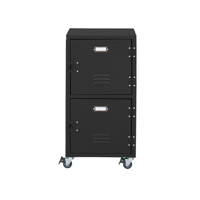 ラルド チェスト2D TPN-30BK