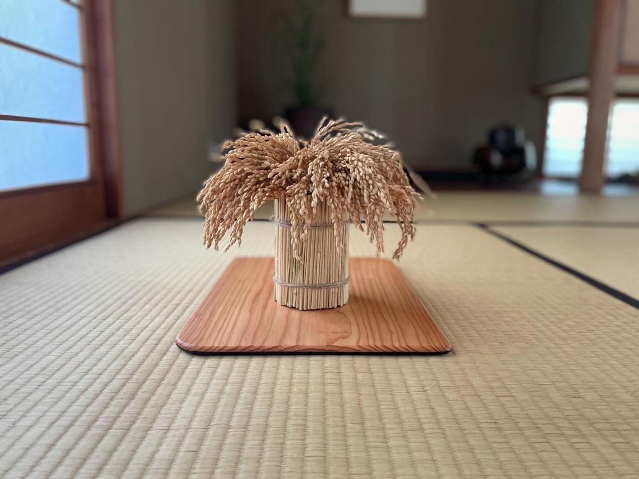 2025年新商品　稲守り（低）