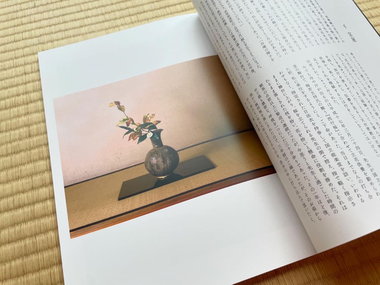 岡田幸三没後20年追善作品集『風興』