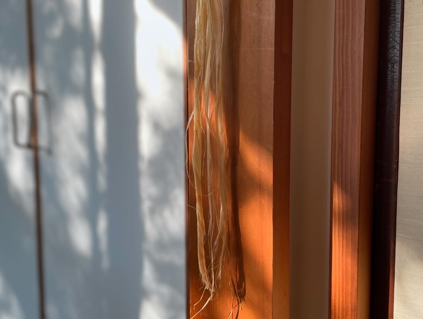 2025年 大麻（おおあさ）飾り