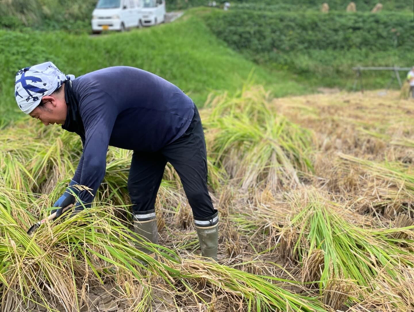 2025年しめ縄リース＋稲守り