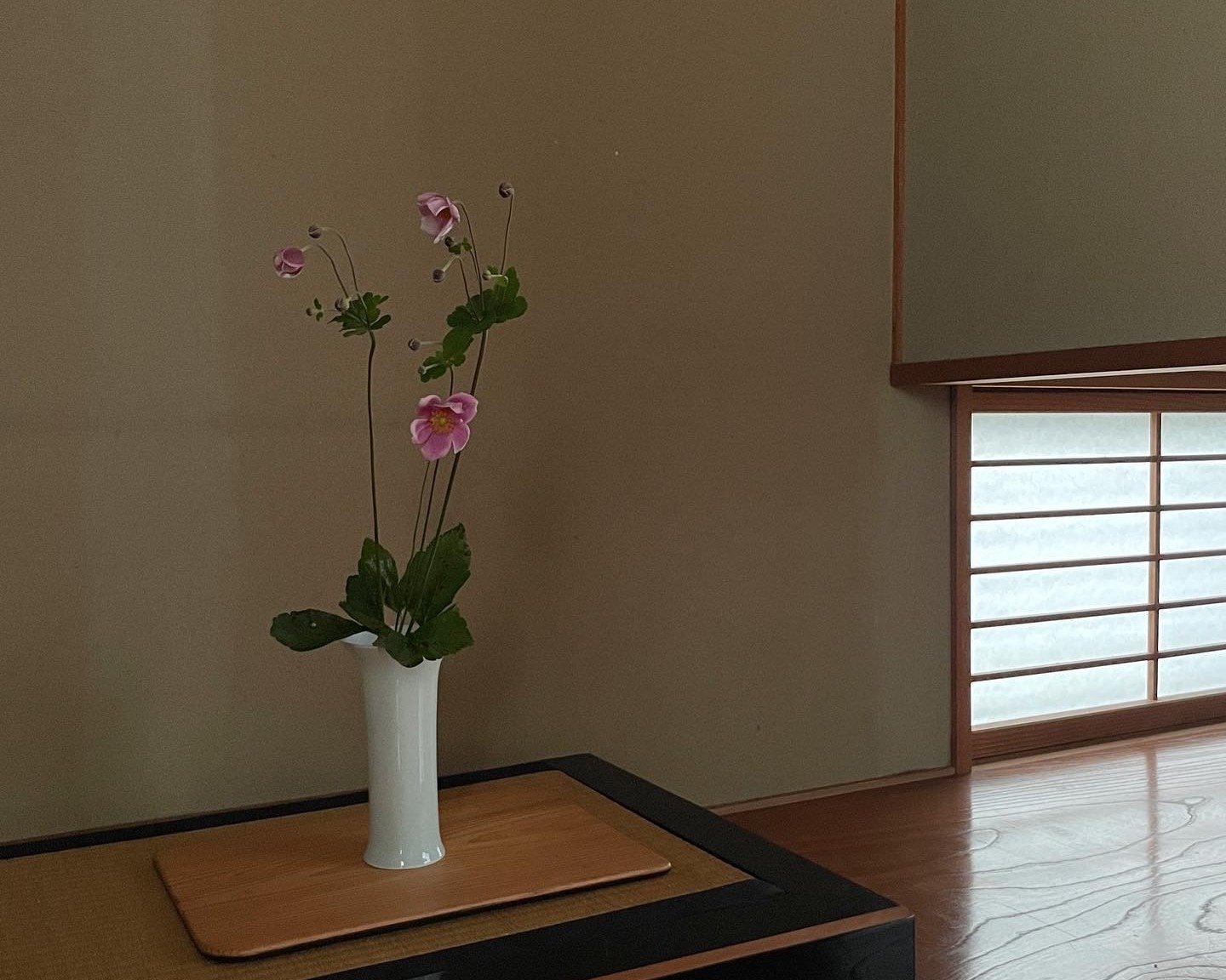 小国杉のトレー Aタイプ