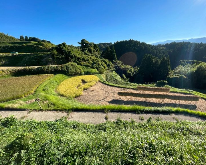 亀の稲守り（黒）