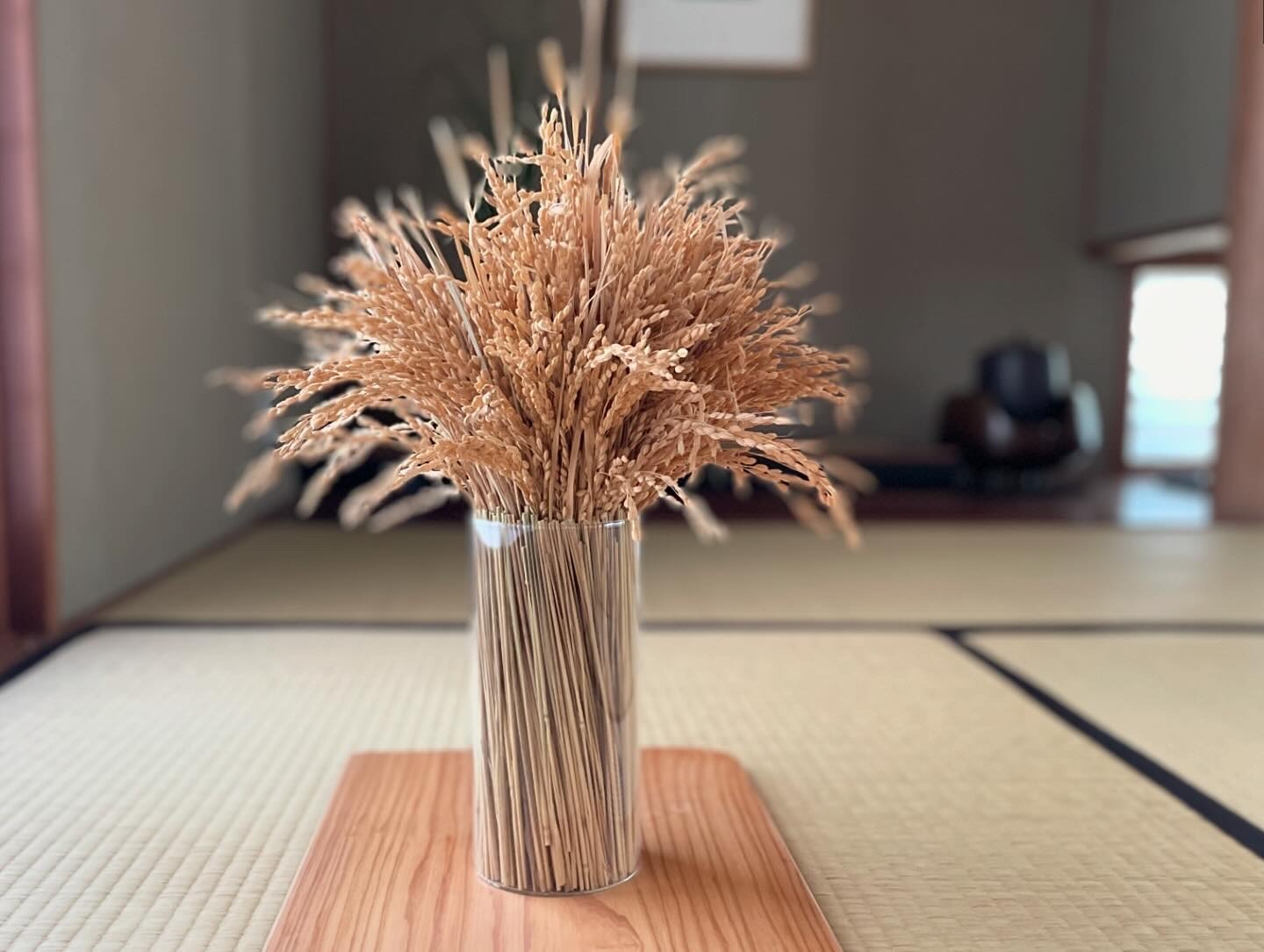 2025年新商品　稲守り（高）