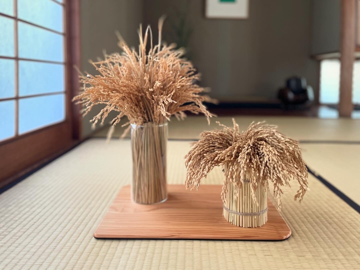 2025年新商品　稲守り（高）