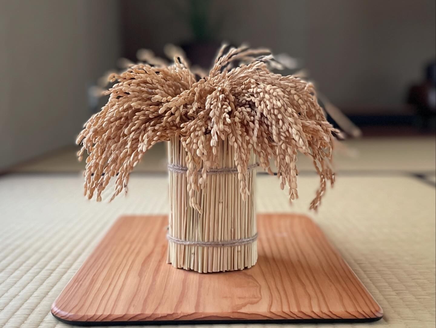 2025年新商品　稲守り（低）