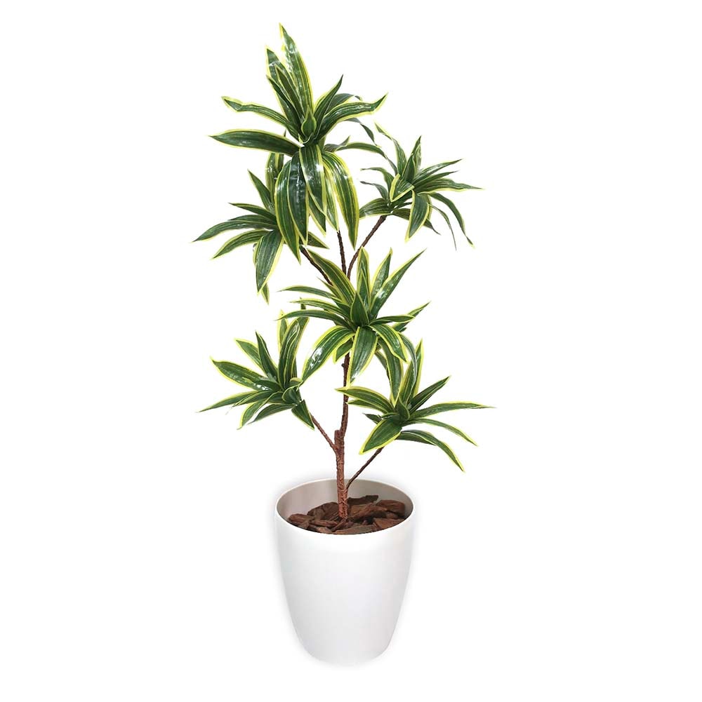 ササガワ】 ＜人工観葉植物＞ ソングオブインディア Mサイズ 32-8712