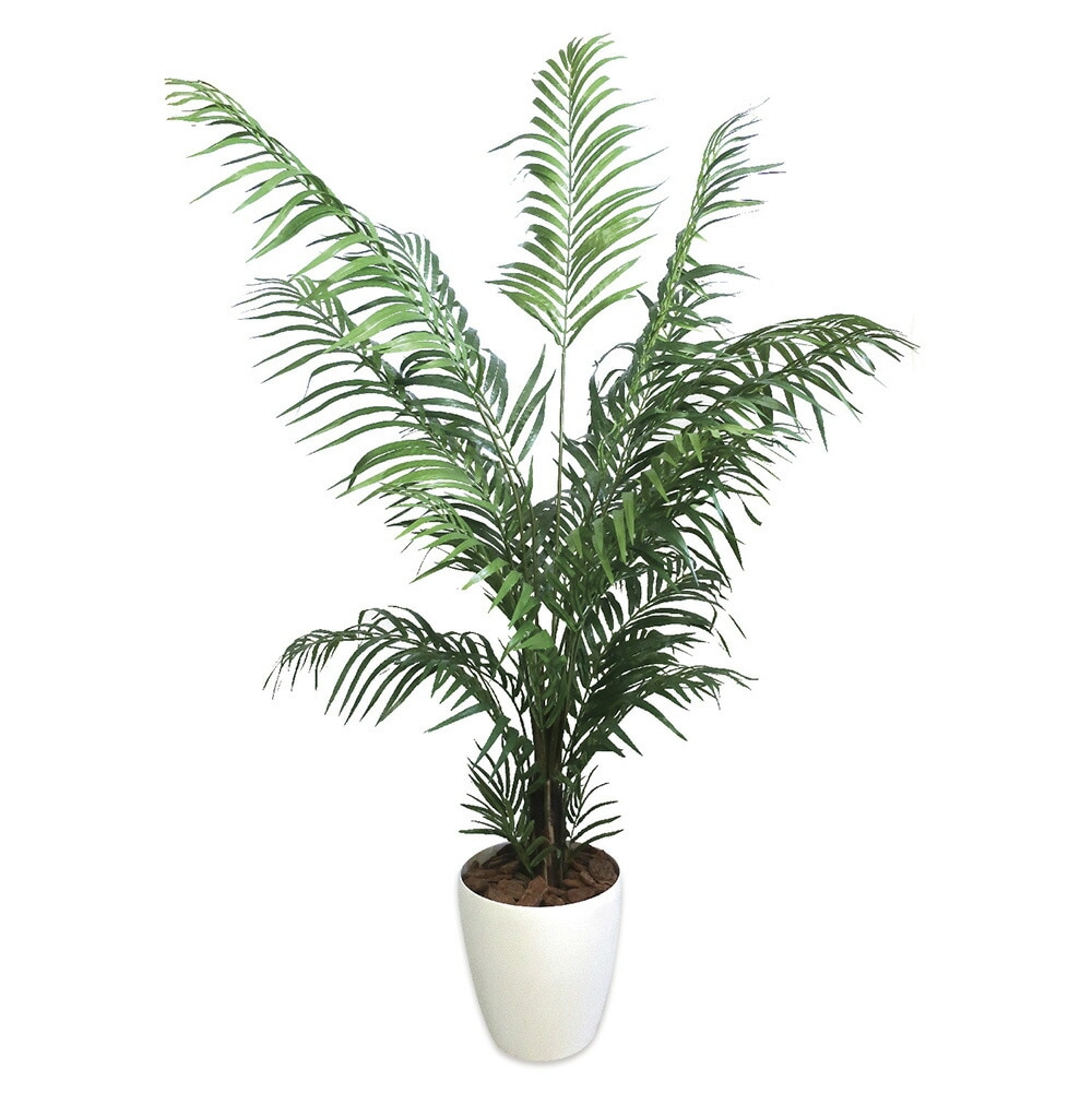 アレカヤシ　観葉植物　5本セット ササガワ】 ＜人工観葉植物＞ アレカヤシ Lサイズ 32-8724 | 全商品