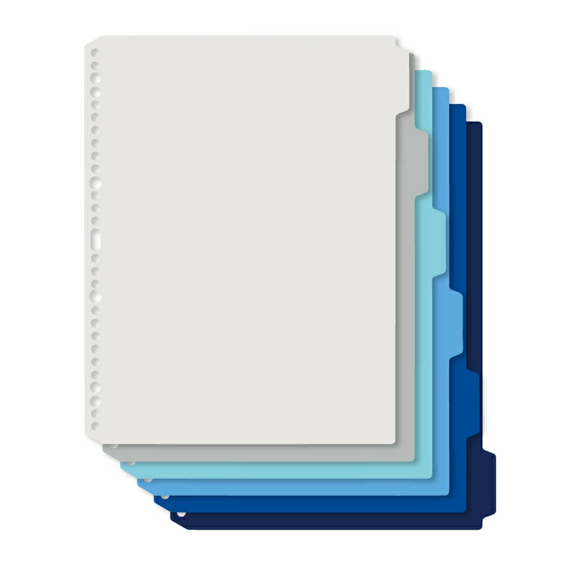 プラス(PLUS) インデックスシート Deja vu Colors (デジャヴ カラーズ) A4-S 4穴30穴 6山1組 クールトーンライン FL-102IX　89-428