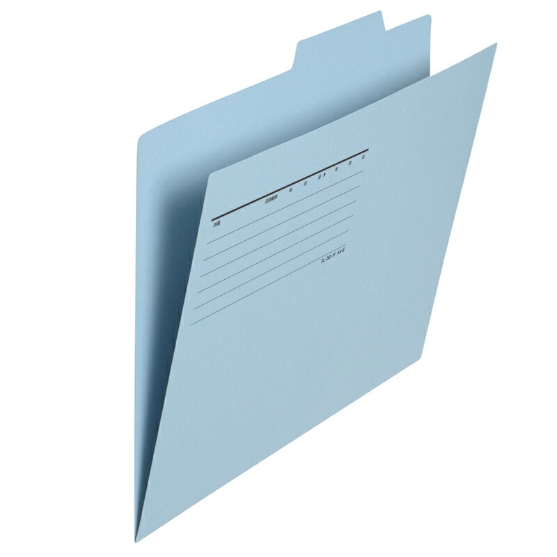 プラス(PLUS) 個別フォルダー エコノミー A4-E 50枚入 ロイヤルブルー FL-082IF　87-432