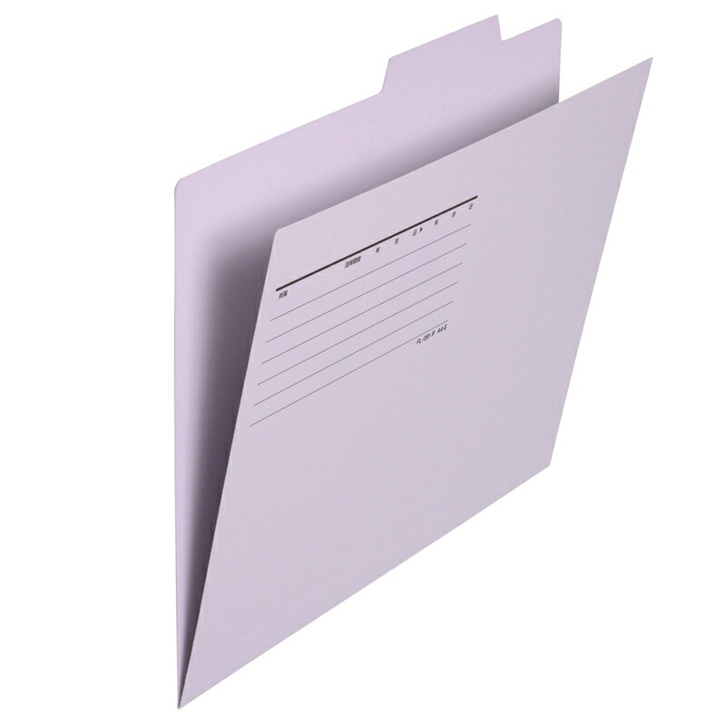 プラス(PLUS) 個別フォルダー エコノミー A4-E 50枚入 バイオレット FL-082IF　87-433