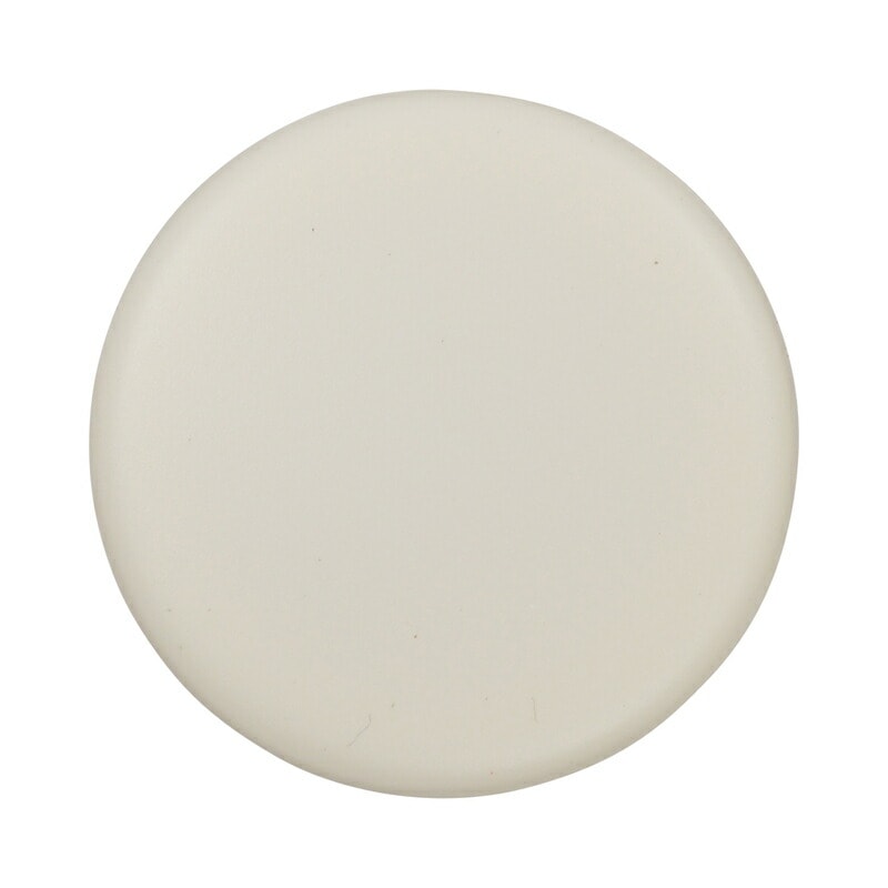 プラス(PLUS)マグネット カラーマグネット 直径30mm 5個入 ホワイト CP-030M　80-600