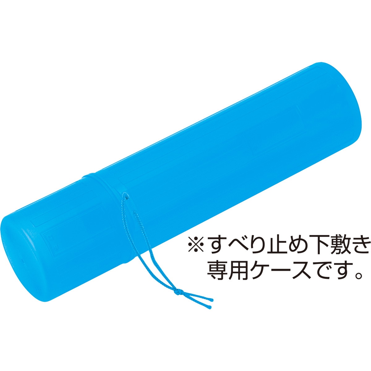 Artec(アーテック) 下敷ケース 大(半切判用) #3679