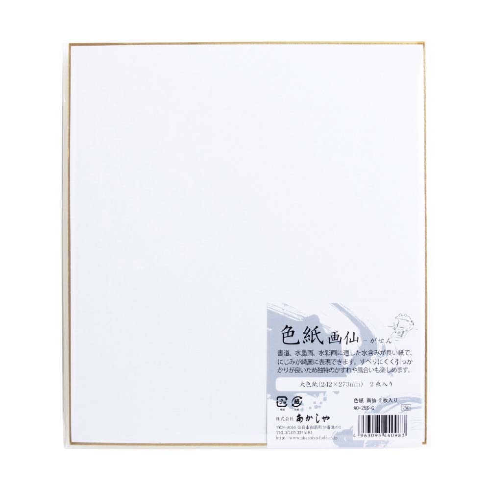 色紙 画仙 2枚入り Ao 25s G 大色紙 水彩画 水墨画 書道 習字 命名紙 手書き メッセージ 卒業式 入学式 書道用具 書道用品 サイン 全商品 趣味用品 画材 色紙 スケッチブック オフィスランドec