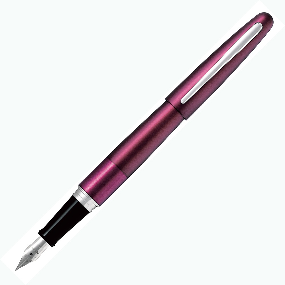 パイロット PILOT 万年筆 コクーン ボルドー 中字 ギフトケース付き