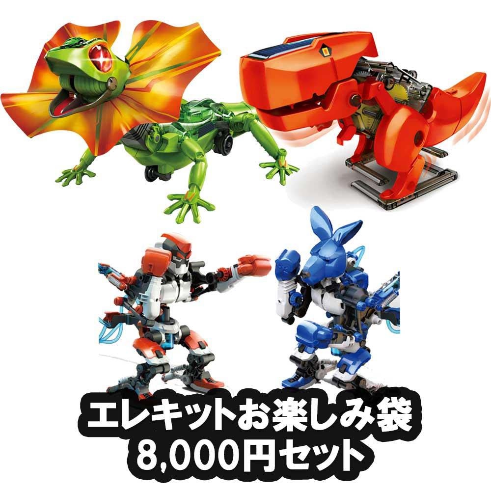 EKジャパン イーケイジャパン ELEKIT エレキット お楽しみ袋 8,000円