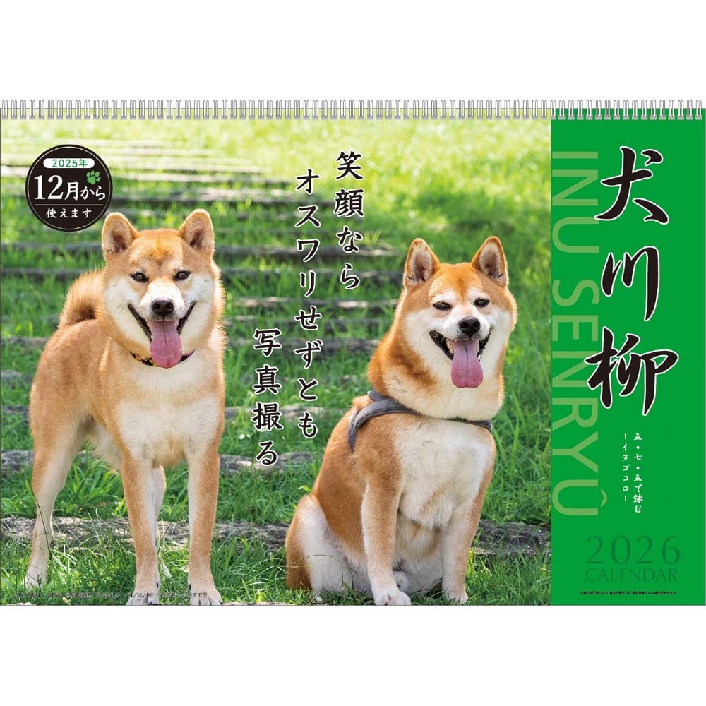 アートプリントジャパン 26年 カレンダー 犬川柳 1000136867 12月はじまり