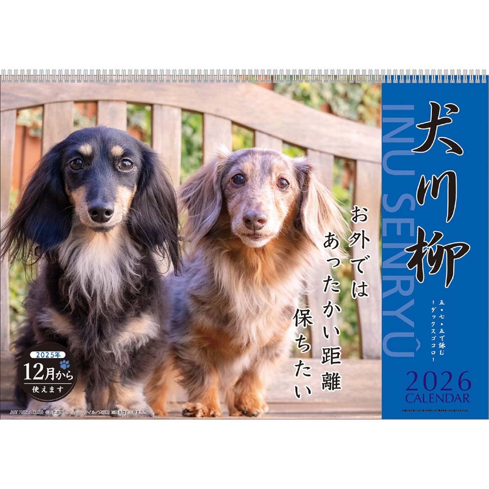 アートプリントジャパン 26年 カレンダー ダックス川柳 1000136869 12月はじまり