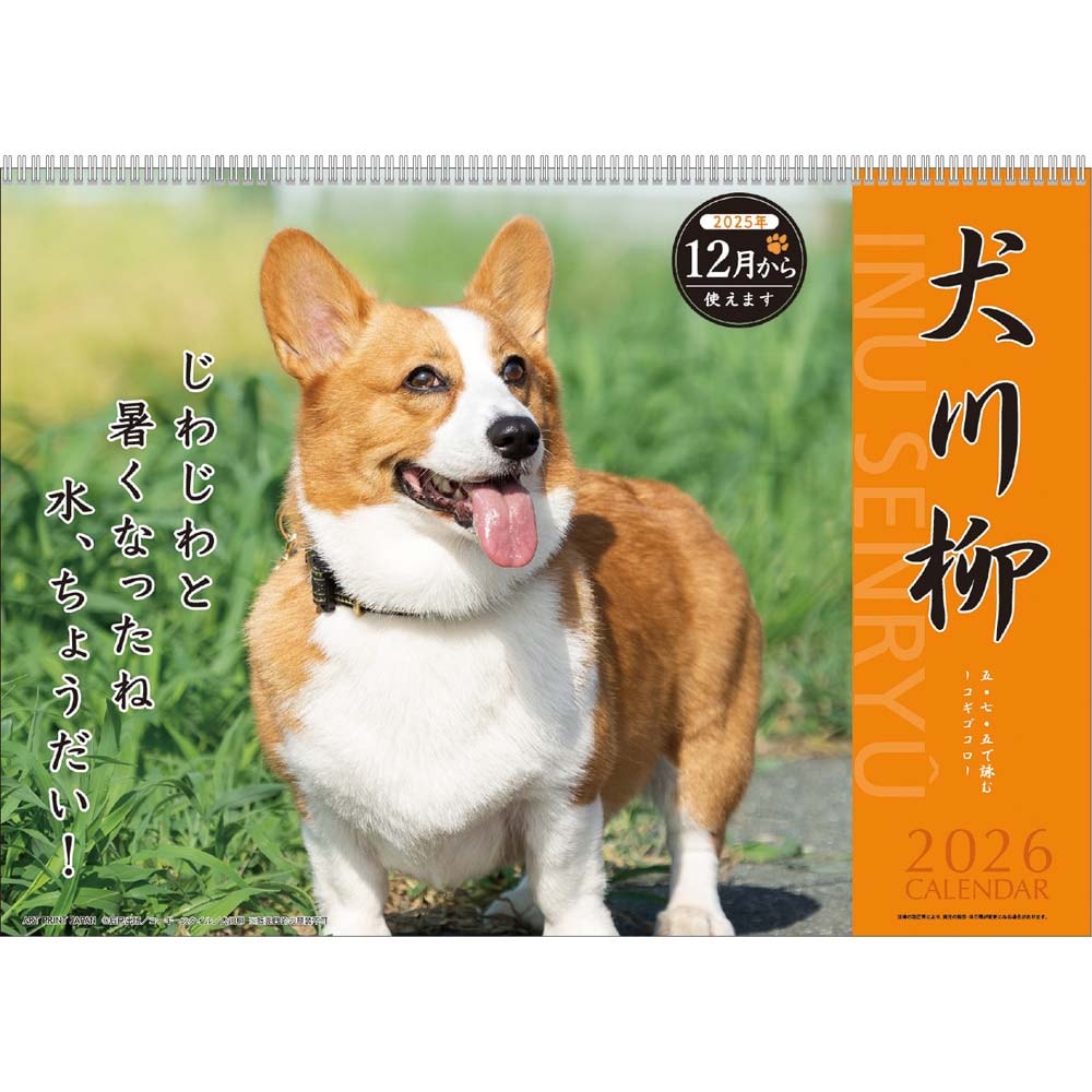 アートプリントジャパン 26年 カレンダー コーギー川柳 1000136870 12月はじまり