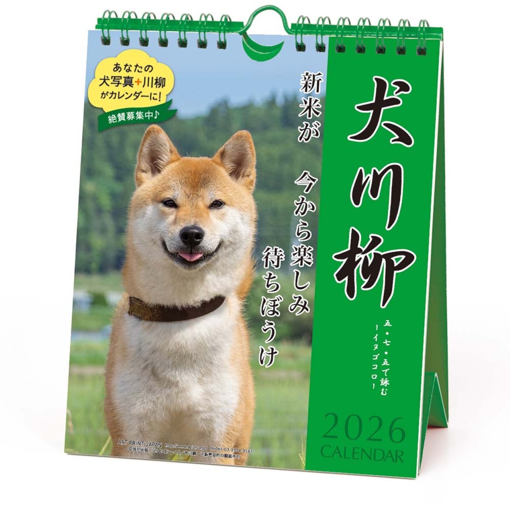 アートプリントジャパン 26年 カレンダー 犬川柳 週めくり 1000136871 1月はじまり