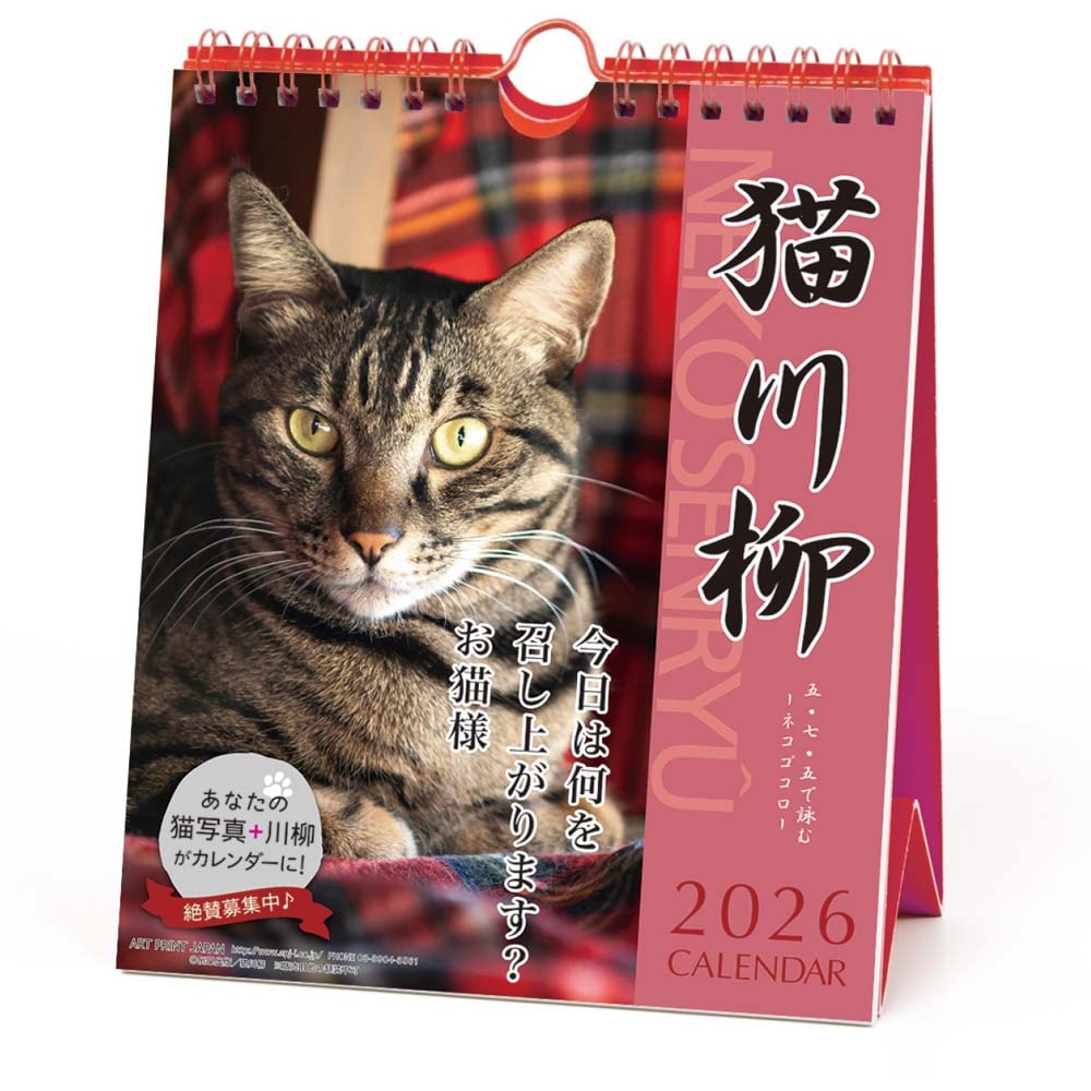 アートプリントジャパン 26年 カレンダー 猫川柳 週めくり 1000136872 1月はじまり