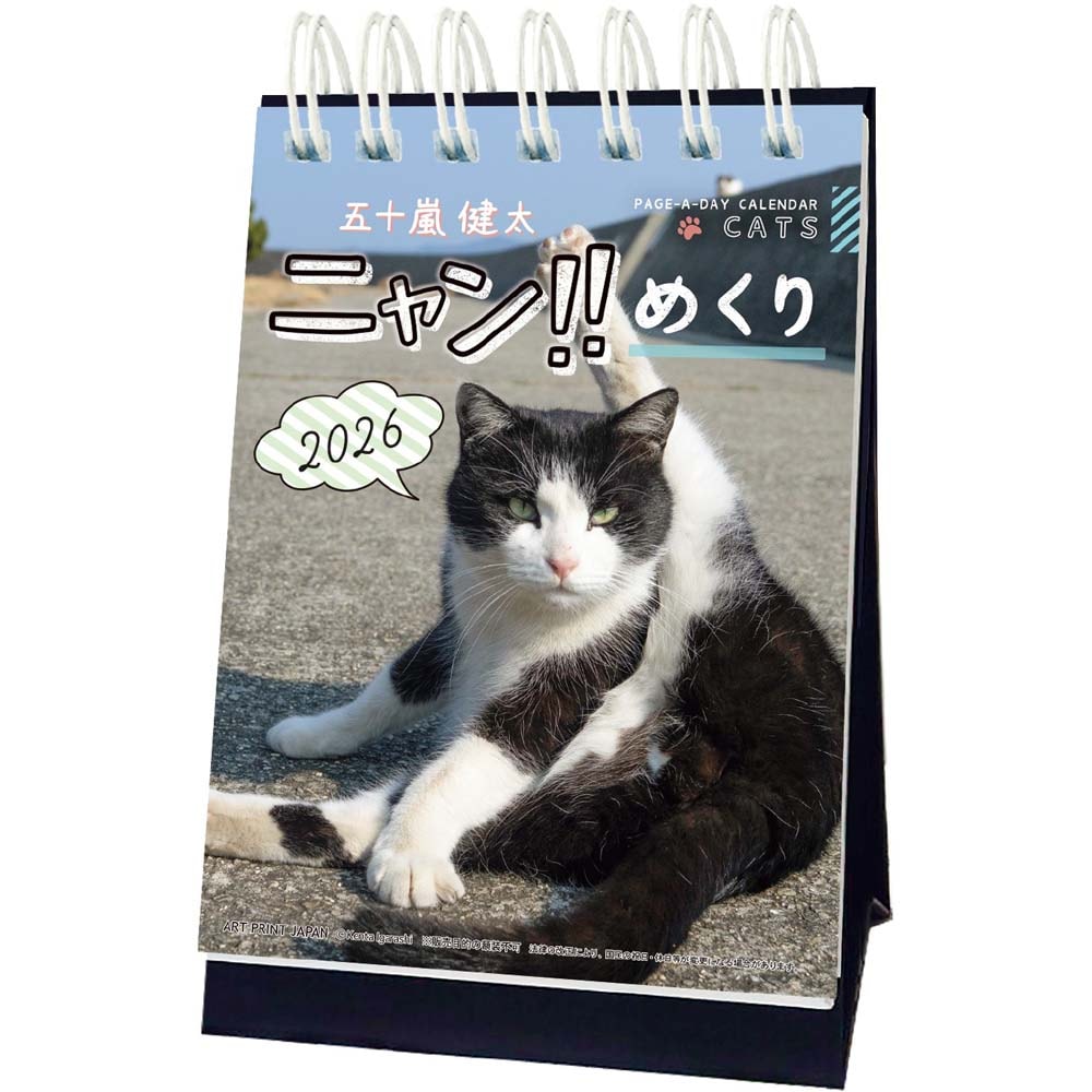 アートプリントジャパン 26年 カレンダー ニャン！！めくり 五十嵐健太 1000136880 1月はじまり