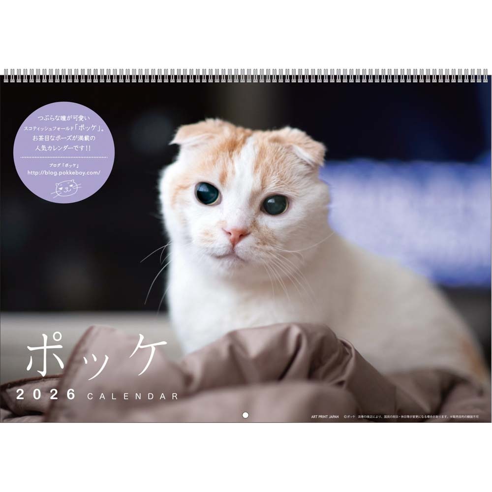 アートプリントジャパン 26年 カレンダー ポッケ 1000136886 1月はじまり