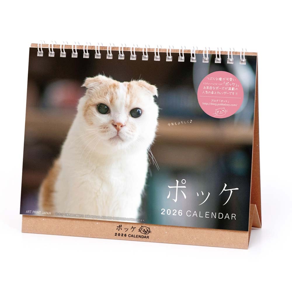 アートプリントジャパン 26年 カレンダー ポッケ 卓上 1000136887 1月はじまり