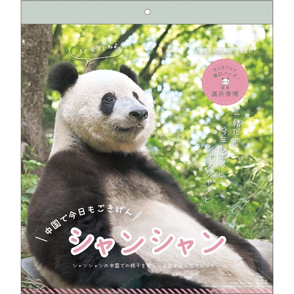 アートプリントジャパン 26年 カレンダー シャンシャン パンダ川柳 1000136893 1月はじまり