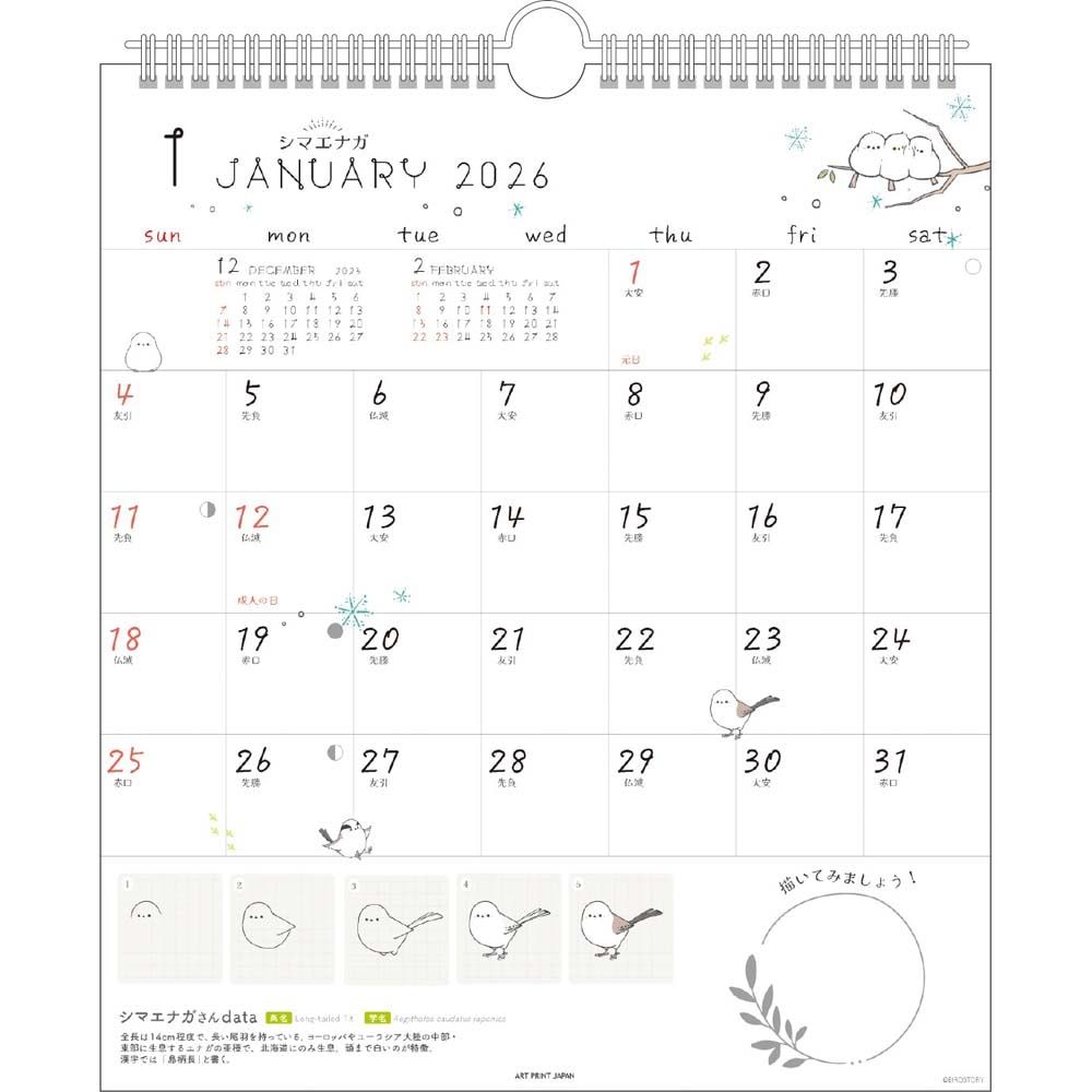 アートプリントジャパン 26年 カレンダー かわいいとりの描き方 30角 1000136951 1月はじまり