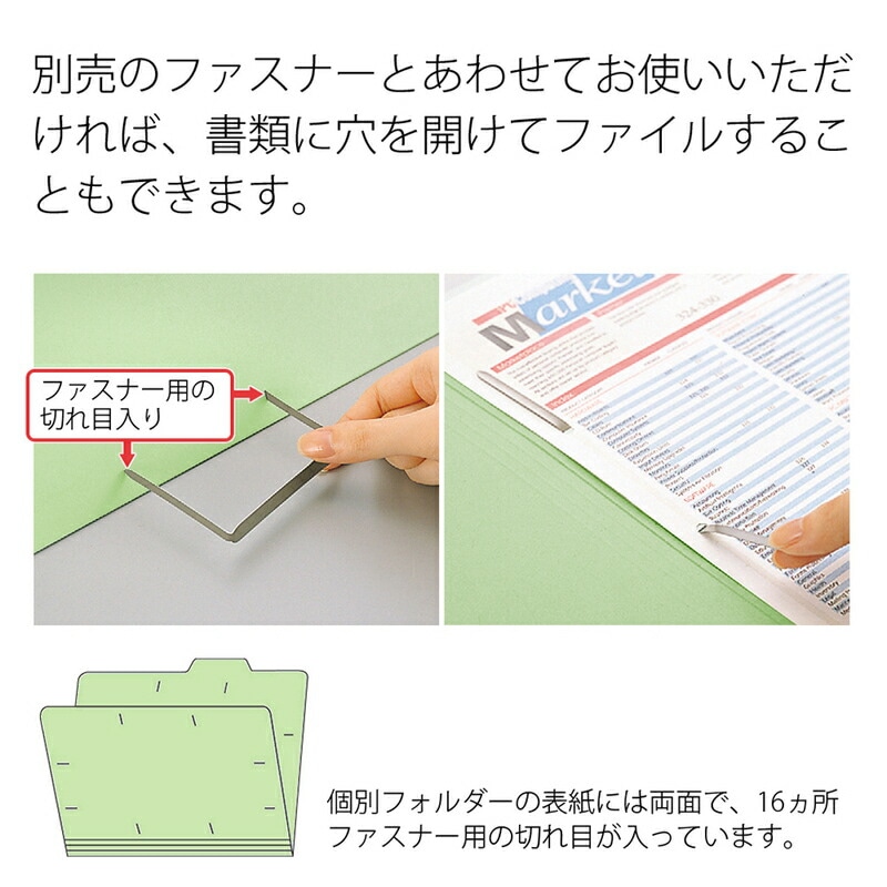 プラス(PLUS)個別フォルダー エコノミー A4-E 10枚入 グリーン FL
