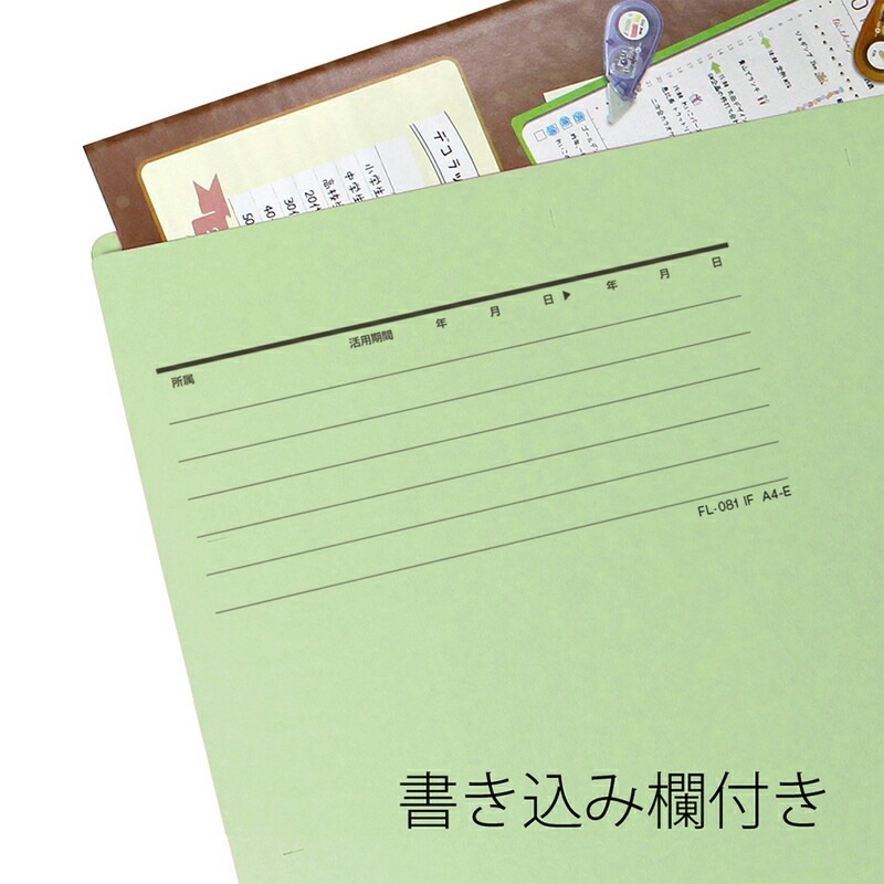 プラス(PLUS)個別フォルダー エコノミー A4-E 10枚入 グリーン FL