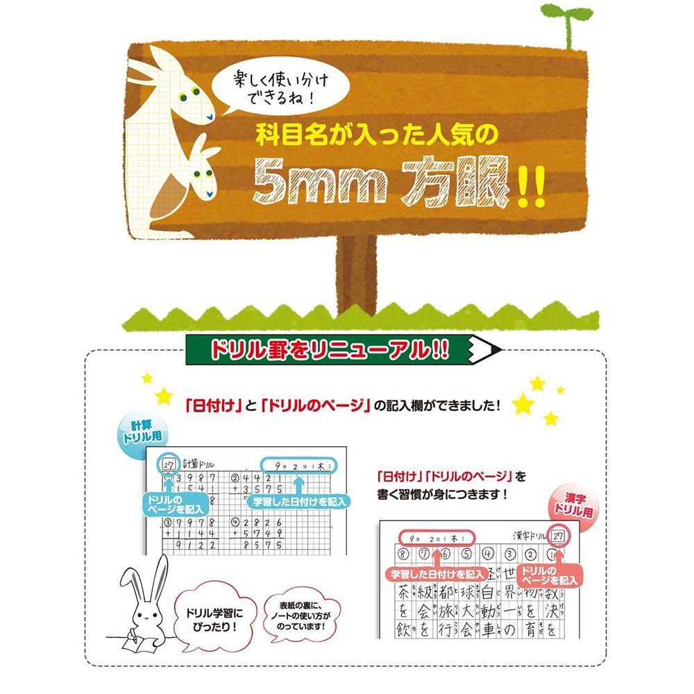 日本ノート　キョクトウ　カレッジアニマル学習帳　5mm ほうがんノート　リス　LT01VM