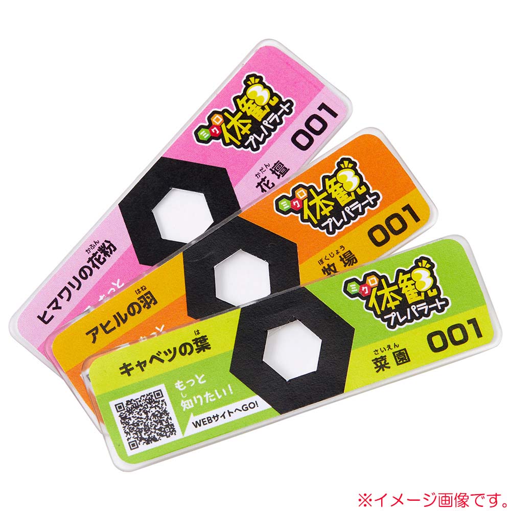 レイメイ藤井 raymay 片手サイズのハンディ顕微鏡ZOOM 倍率60-120倍 ミクロ体感セット レッド RXTG3R