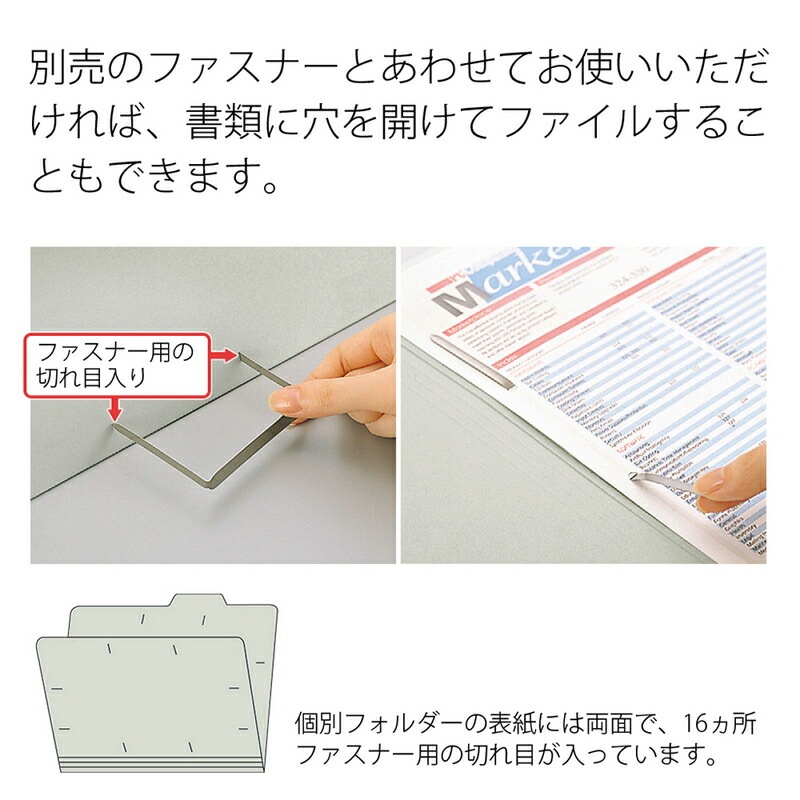 プラス(PLUS)個別フォルダー エコノミー A4-E 10枚入 グレー FL-081IF